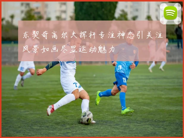 东契奇高尔夫挥杆专注神态引关注风景如画尽显运动魅力