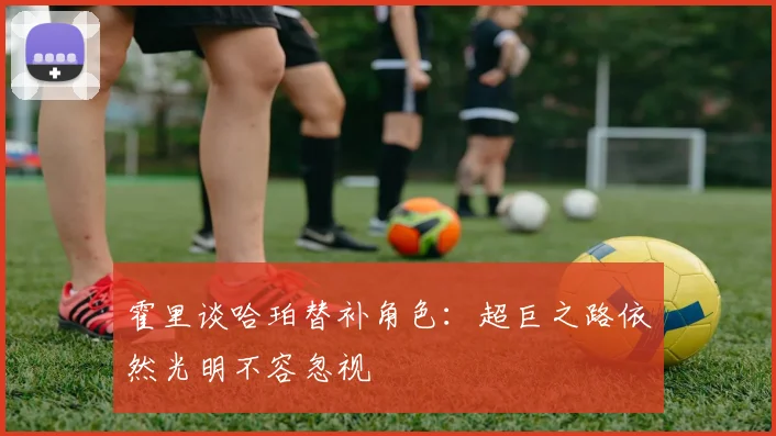 霍里谈哈珀替补角色：超巨之路依然光明不容忽视