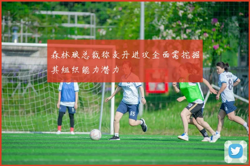 森林狼总裁称麦丹进攻全面需挖掘其组织能力潜力