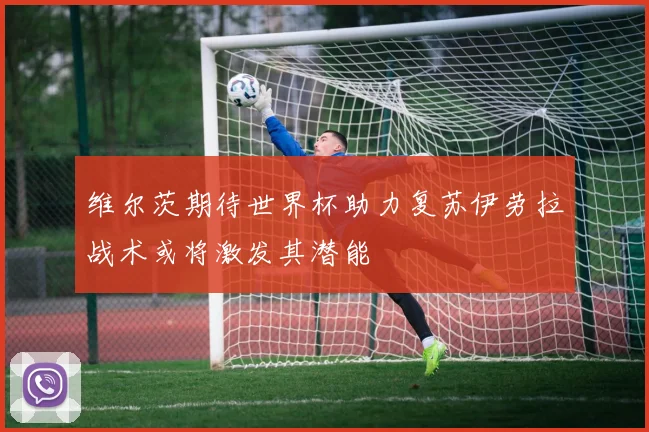 维尔茨期待世界杯助力复苏伊劳拉战术或将激发其潜能